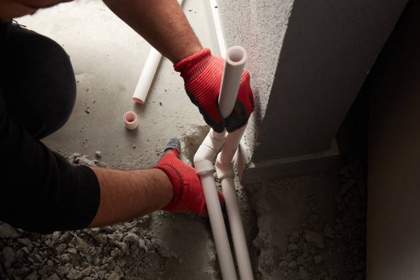 Best Clogged Drain Plumber  in La Villa, TX