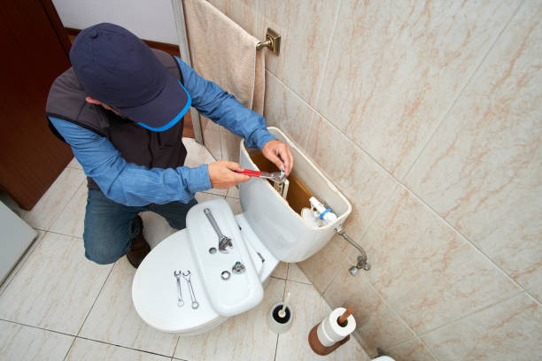 Best Local Plumber Services  in La Villa, TX