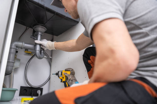 Best Plumbing Services Near Me  in La Villa, TX